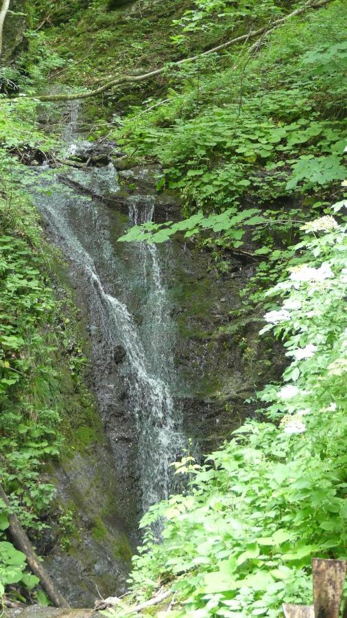 Tiha Dolina Villa Zelezniki Buitenkant foto
